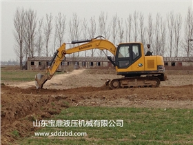 山东宝鼎挖掘机