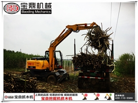 宝鼎抓木机广西抓装甘蔗作业图片