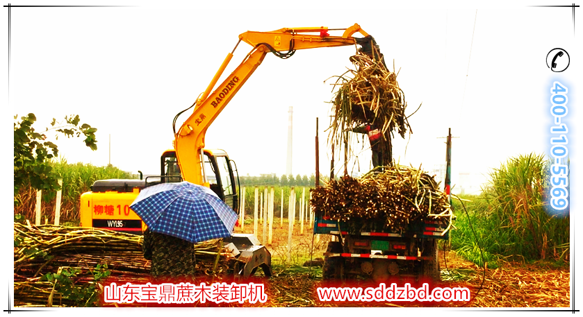 宝鼎蔗木装卸机产品