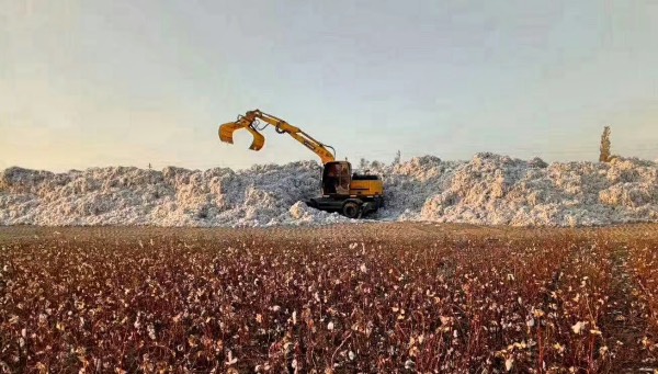 新疆轮式挖掘机抓棉花