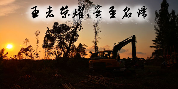 宝鼎轮式抓木机
