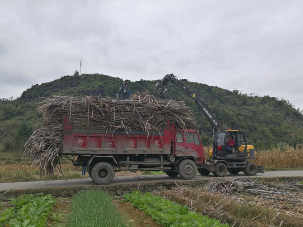 宝鼎广西轮式抓木机.jpg