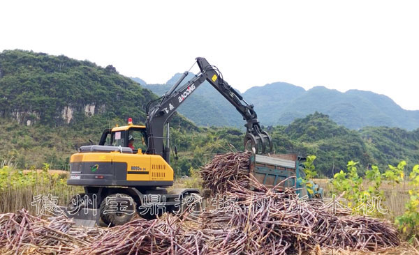 宝鼎抓木机甘蔗装车.jpg