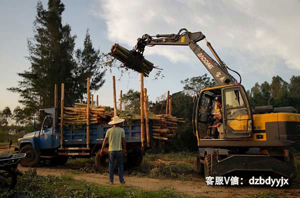 宝鼎抓木机广西市场作业.jpg