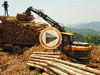 贵州抓木机视频操作装车