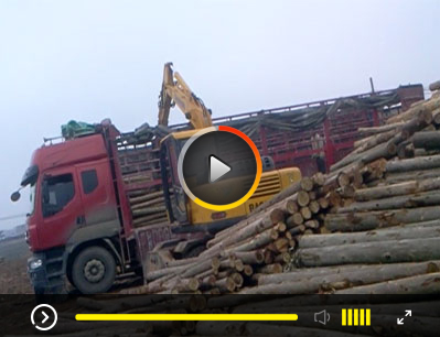 广西宝鼎轮式90抓木机工程视频