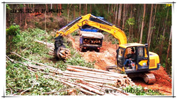 山东宝鼎挖掘抓木机—工程机械行业中的绿林好汉