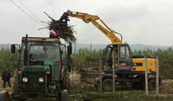 宝鼎轮式抓木机助力甘蔗装卸机械化发展，甘蔗机械化博览会在柳州开幕