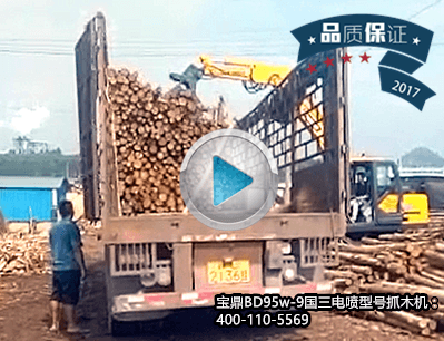 宝鼎BD95w-9国三型号抓木机装卸高栏工况介绍