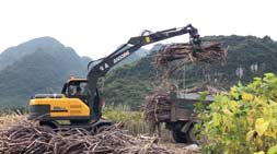 国内抓木机市场受欢迎抓木机车型分析