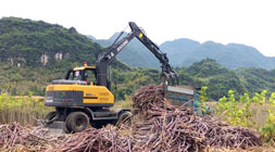 抓木机挣钱并非难事轮式车型遍地生金