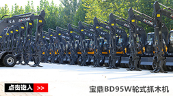 宝鼎抓木机厂家销售持续发力BD95W-9A型号抓木机2019表现抢眼