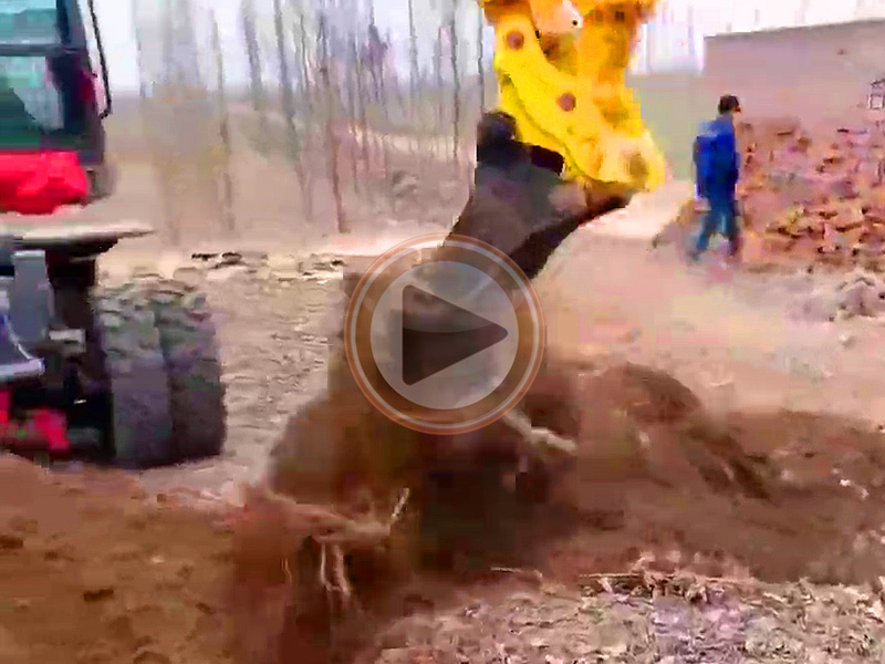收木头客户添置宝鼎BD80W-8D轮式挖掘机挖树根作业